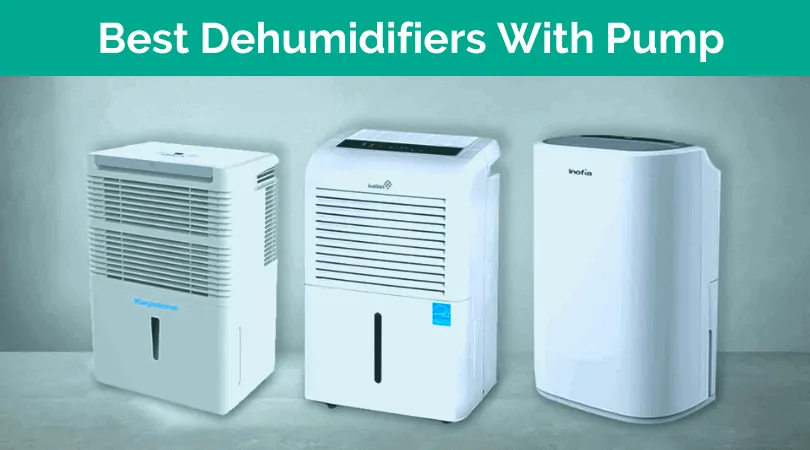 Best Dehumidifiers With Pumps