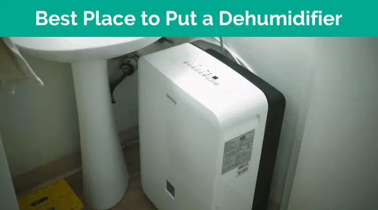 Best Place to Put a Dehumidifier