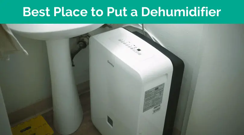 Best Place to Put a Dehumidifier