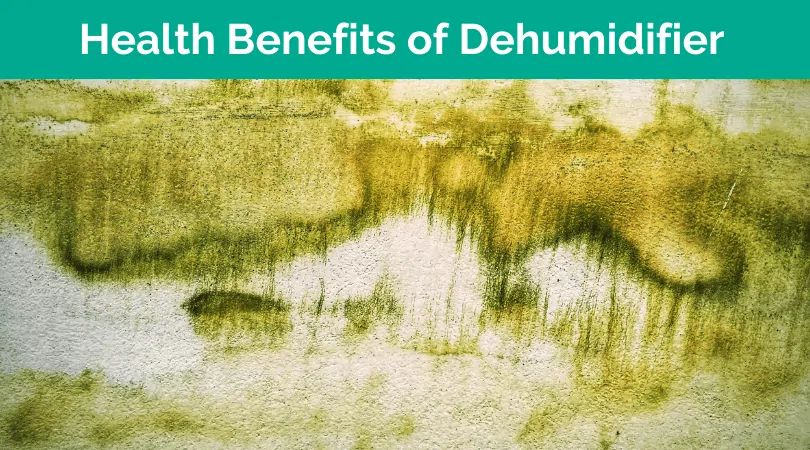 What Does a Dehumidifier Do For Your Health