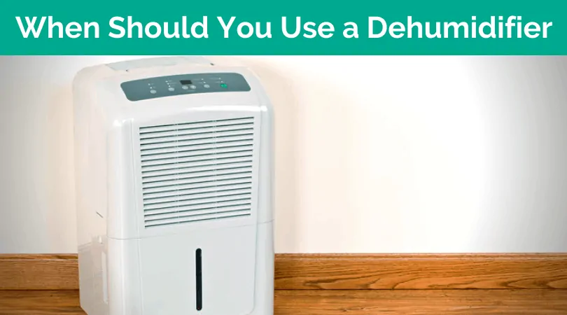 When to Use a Dehumidifier: In Winter or Summer?