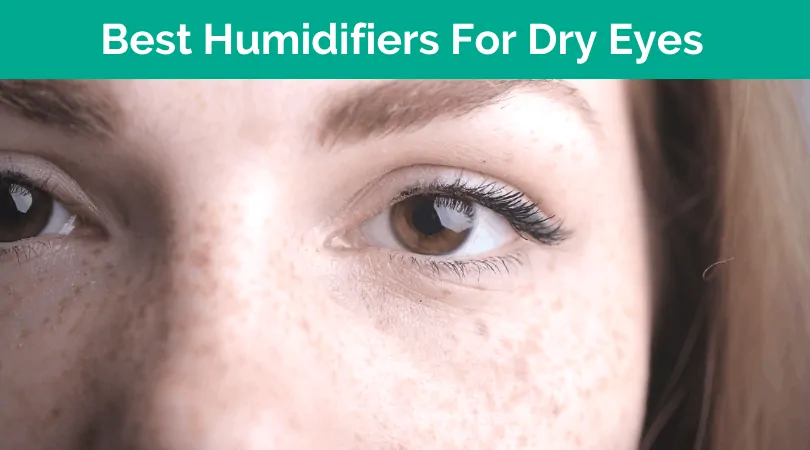 Best Humidifier For Dry Eyes