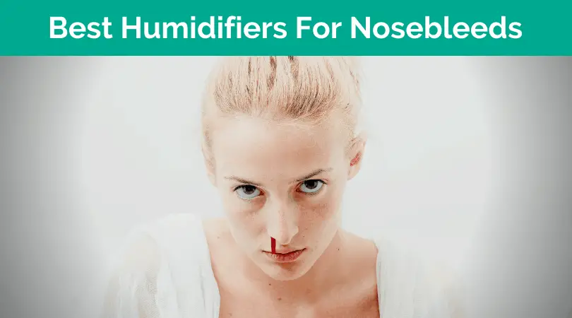 Best Humidifier For Nosebleeds Reviews