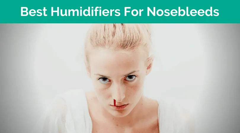 Best Humidifier For Nosebleeds Reviews