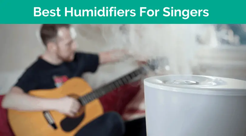 Best Humidifier For singers