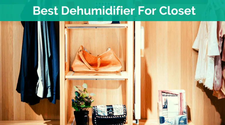 Best Dehumidifier For Closet