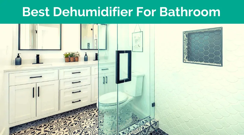 Best Dehumidifier for Bathroom