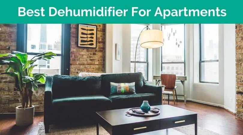 Best Dehumidifier Apartment