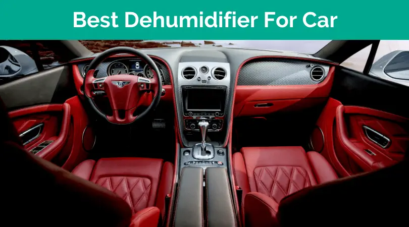 Best Dehumidifier for Car Fetured Image